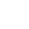 LionTech LLC Logo